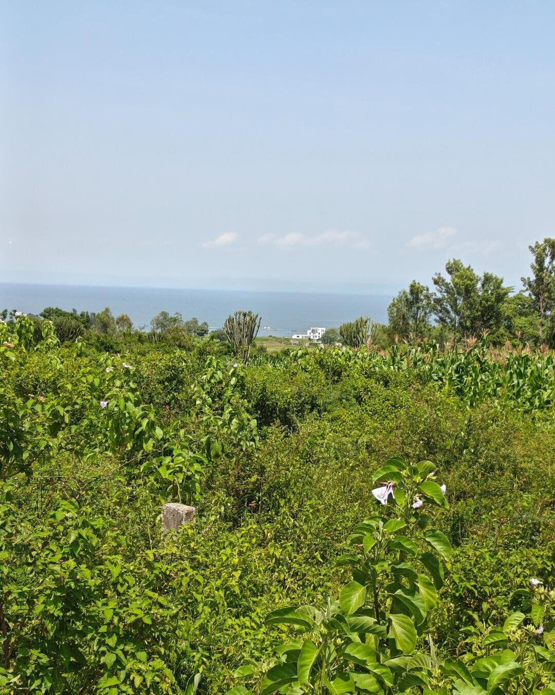 1/2 Acre Paga Beach Plot