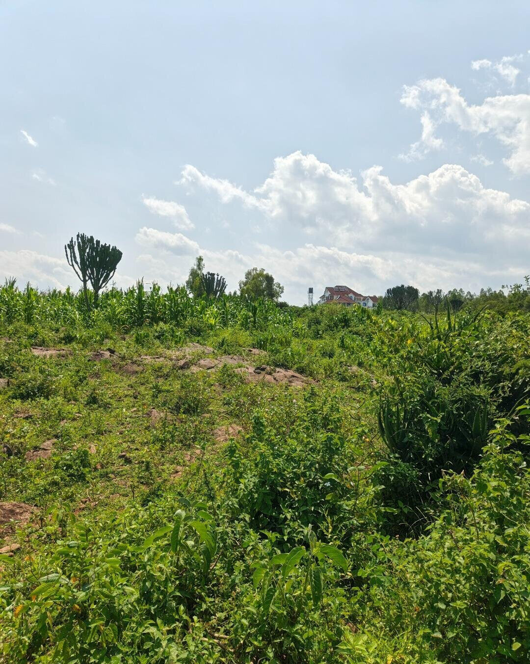 1/2 Acre Paga Beach Plot