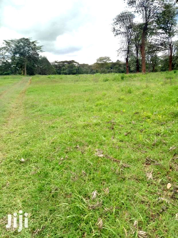 Prime 1 Acre Karen ,Kcb( Ngong View )
