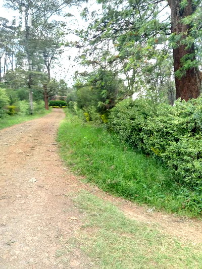 Prime 1 Acre Karen ,Kcb( Ngong View ) - Image 5