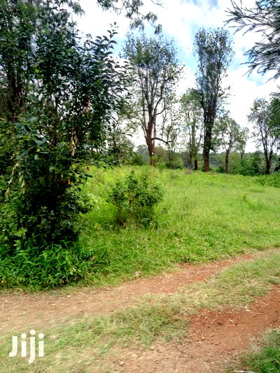 Prime 1 Acre Karen ,Kcb( Ngong View ) - Image 6