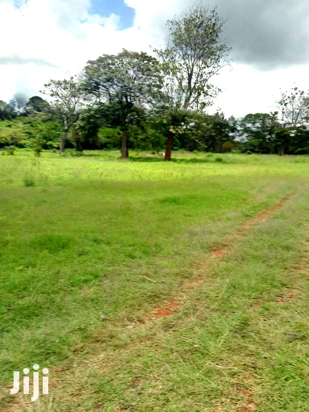 Prime 1 Acre Karen ,Kcb( Ngong View )