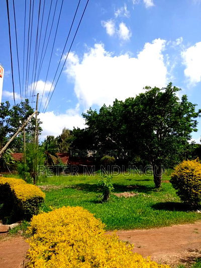 Prime Land 1/2 Acre Safari Park - Image 3