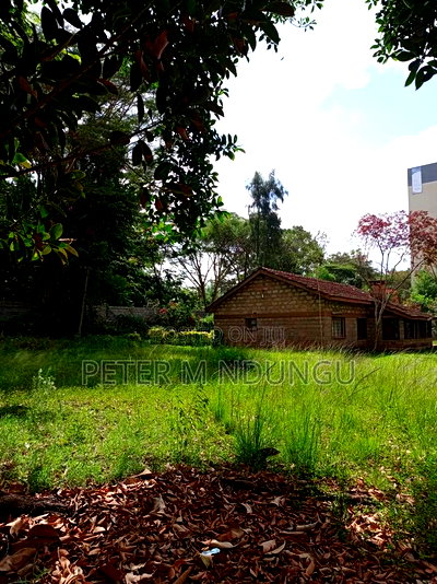 Prime Land 1/2 Acre Safari Park - Image 4