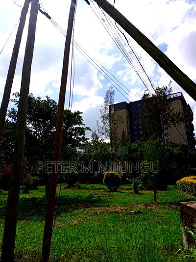 Prime Land 1/2 Acre Safari Park - Image 7