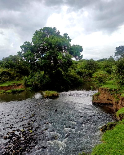 2M Per Acre Garden Land