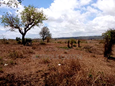 Land For Sale In Mavueni,Kilifi - Image 2