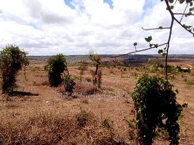 Land For Sale In Mavueni,Kilifi - Image 4