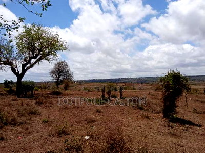 Land For Sale In Mavueni,Kilifi - Image 3