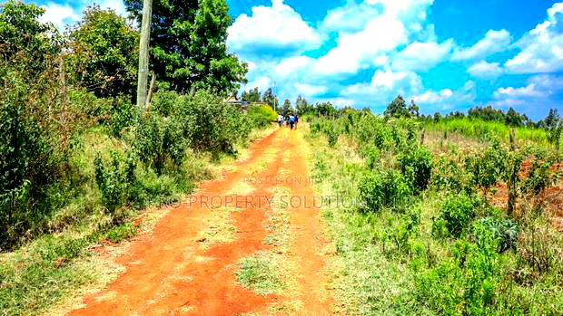 Prime 1/4 Acre Residential Plot for Sale Kikuyu, Kamangu