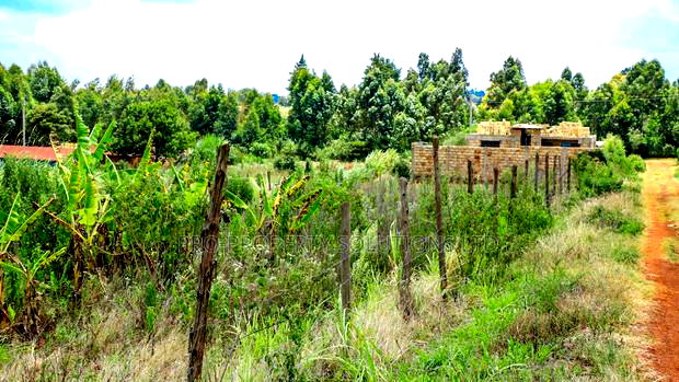 Prime 1/4 Acre Residential Plot for Sale Kikuyu, Kamangu