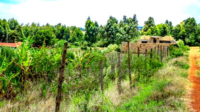 Prime 1/4 Acre Residential Plot for Sale Kikuyu, Kamangu - Image 5