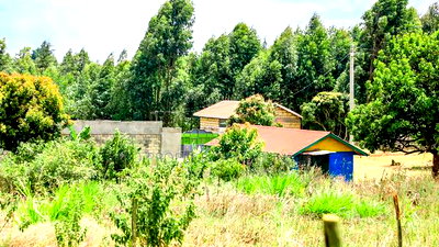 Prime 1/4 Acre Residential Plot for Sale Kikuyu, Kamangu - Image 4