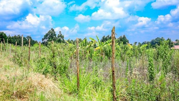 Prime 1/4 Acre Residential Plot for Sale Kikuyu, Kamangu