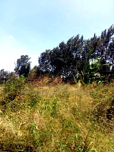 1/2 Acre for Sale at Kiu Kenda - Image 5