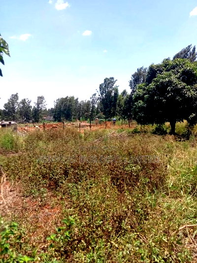 1/2 Acre for Sale at Kiu Kenda - Image 4
