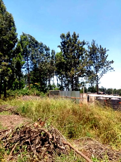 1/2 Acre for Sale at Kiu Kenda - Image 7