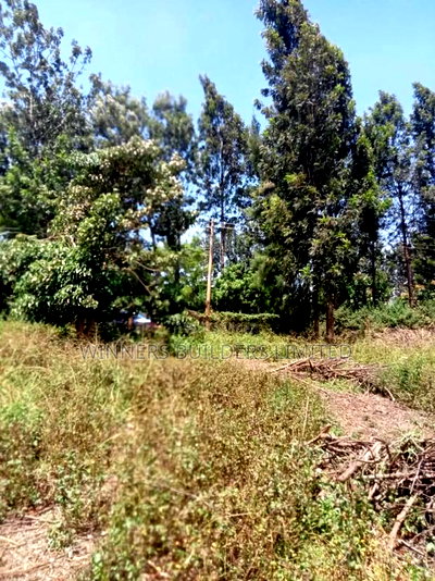 1/2 Acre for Sale at Kiu Kenda - Image 11