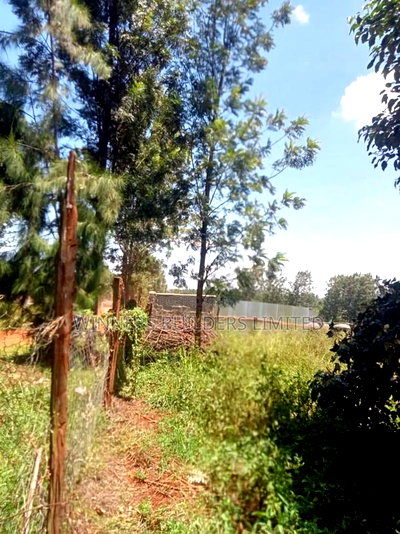 1/2 Acre for Sale at Kiu Kenda - Image 10