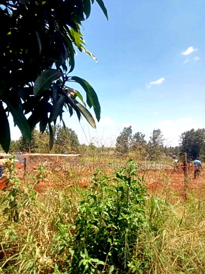 1/2 Acre for Sale at Kiu Kenda - Image 2