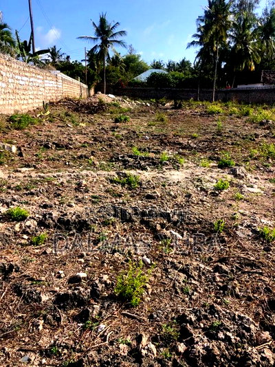 Half an Acre Land in Watamu - Image 5