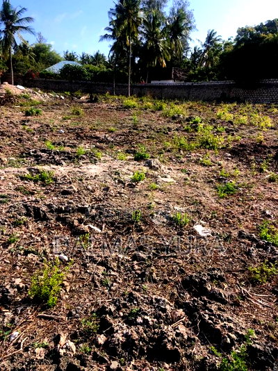 Half an Acre Land in Watamu - Image 1