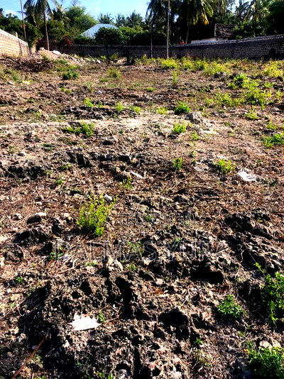 Half an Acre Land in Watamu - Image 3