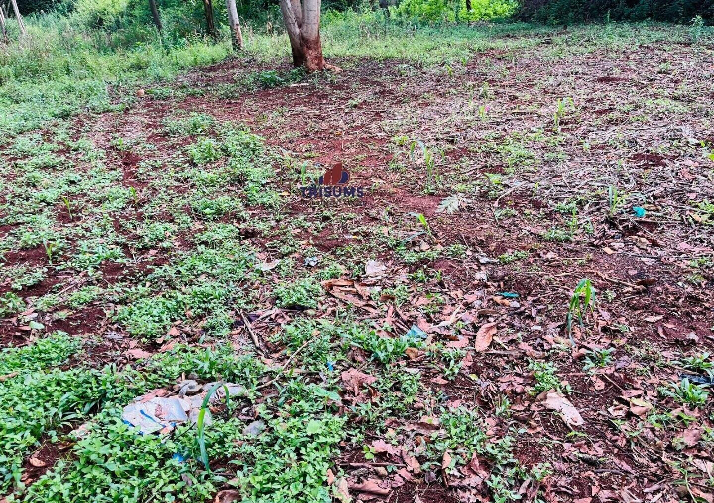 0.85 Acre Plot with Garden in Westlands