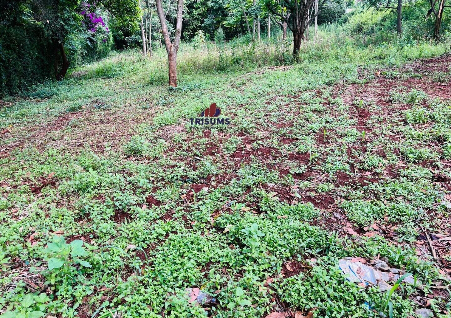 0.85 Acre Plot with Garden in Westlands