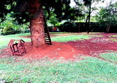 0.85 Acre Plot with Garden in Westlands