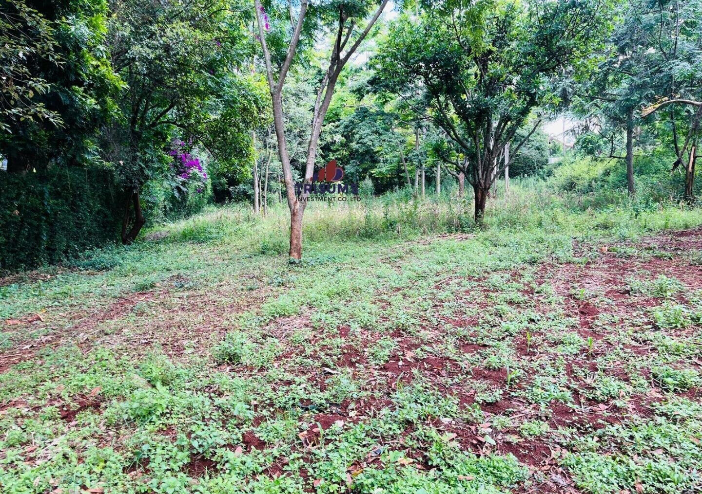 0.85 Acre Plot with Garden in Westlands