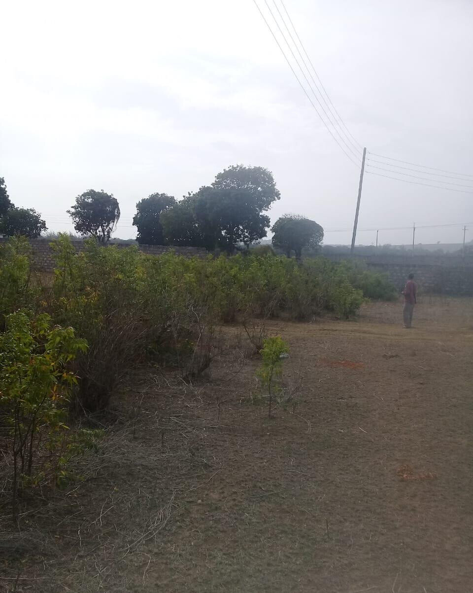 5-Acre Vipingo Gem for KSh 50M