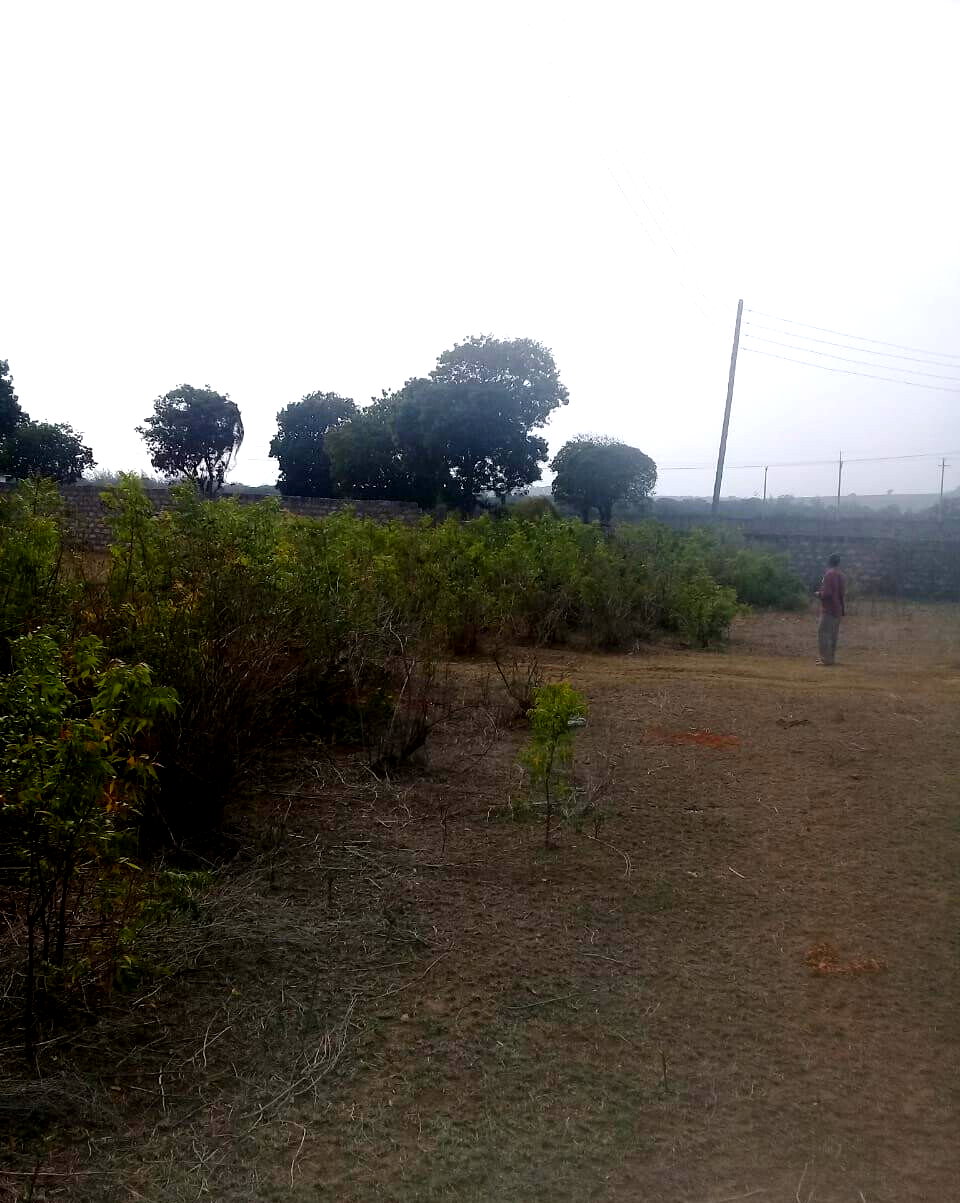 5-Acre Vipingo Gem for KSh 50M
