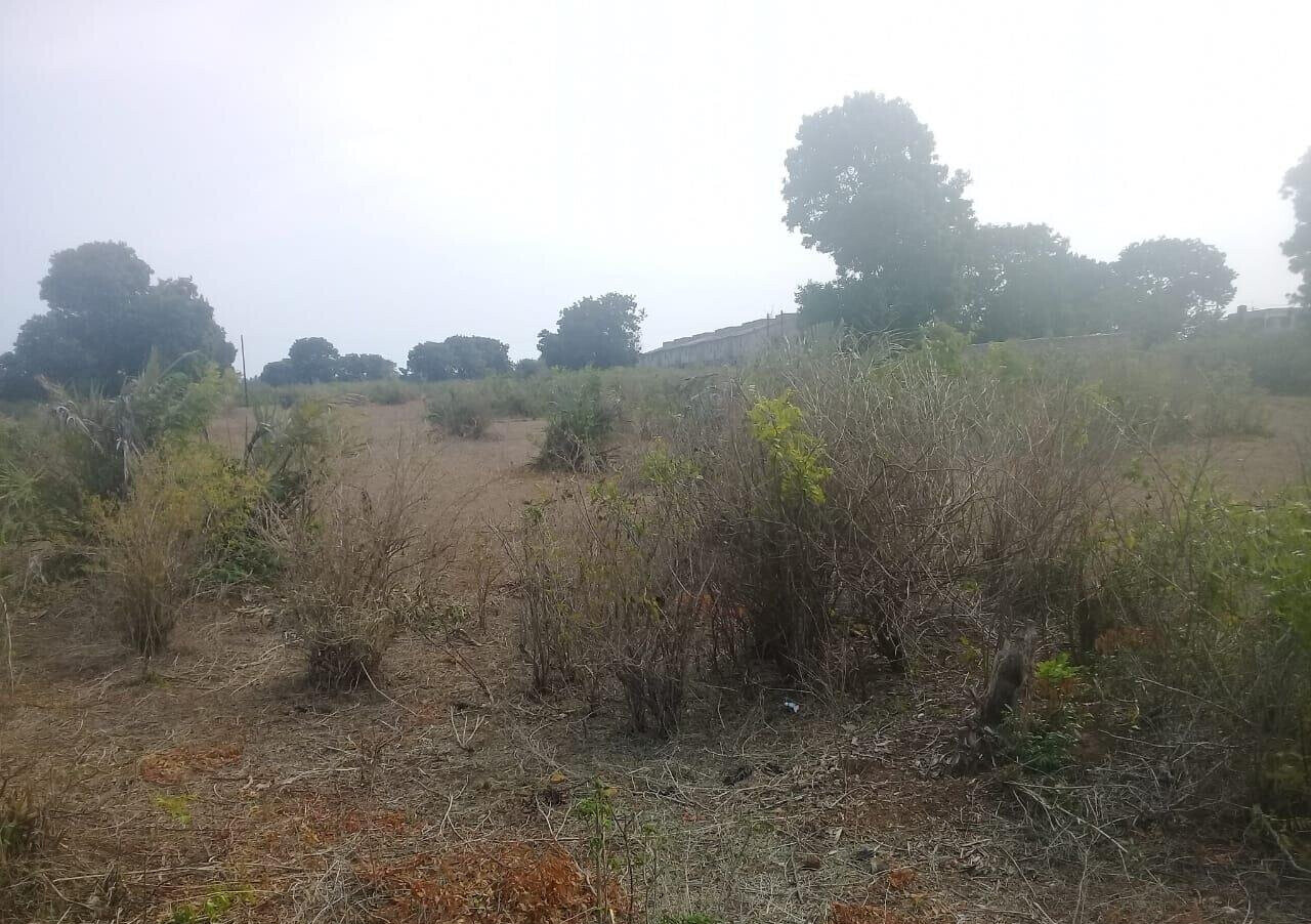5-Acre Vipingo Gem for KSh 50M