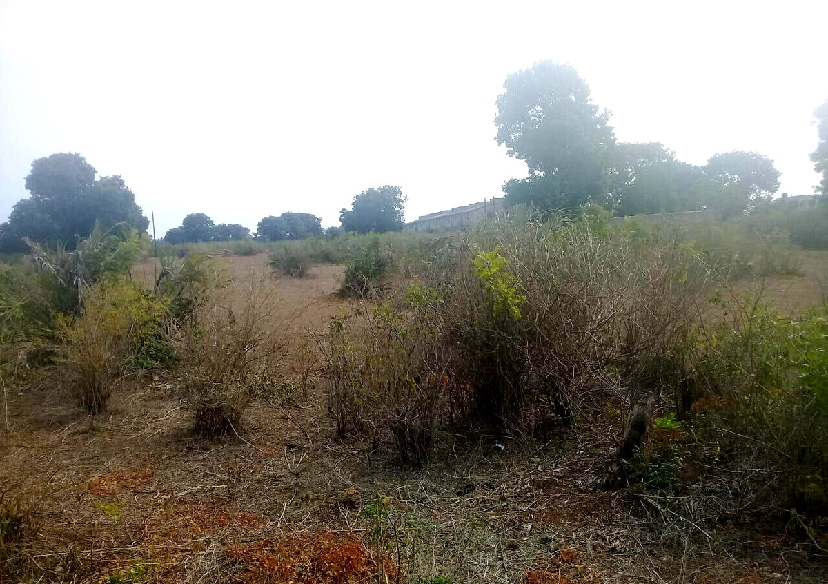 5-Acre Vipingo Gem for KSh 50M