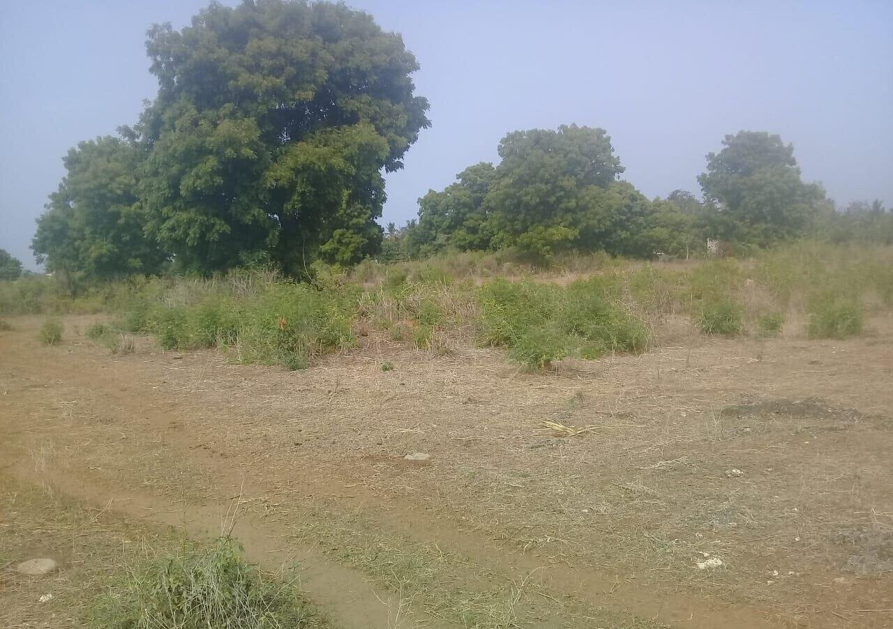 5-Acre Vipingo Gem for KSh 50M