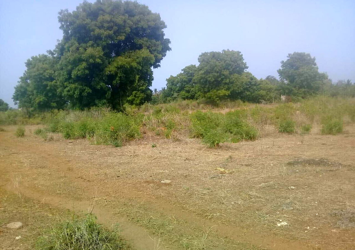 5-Acre Vipingo Gem for KSh 50M