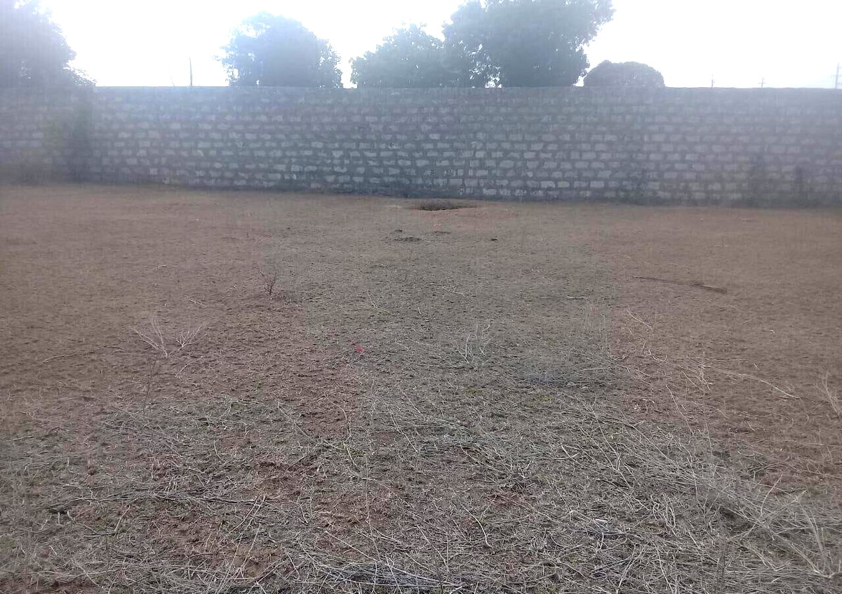 5-Acre Vipingo Gem for KSh 50M