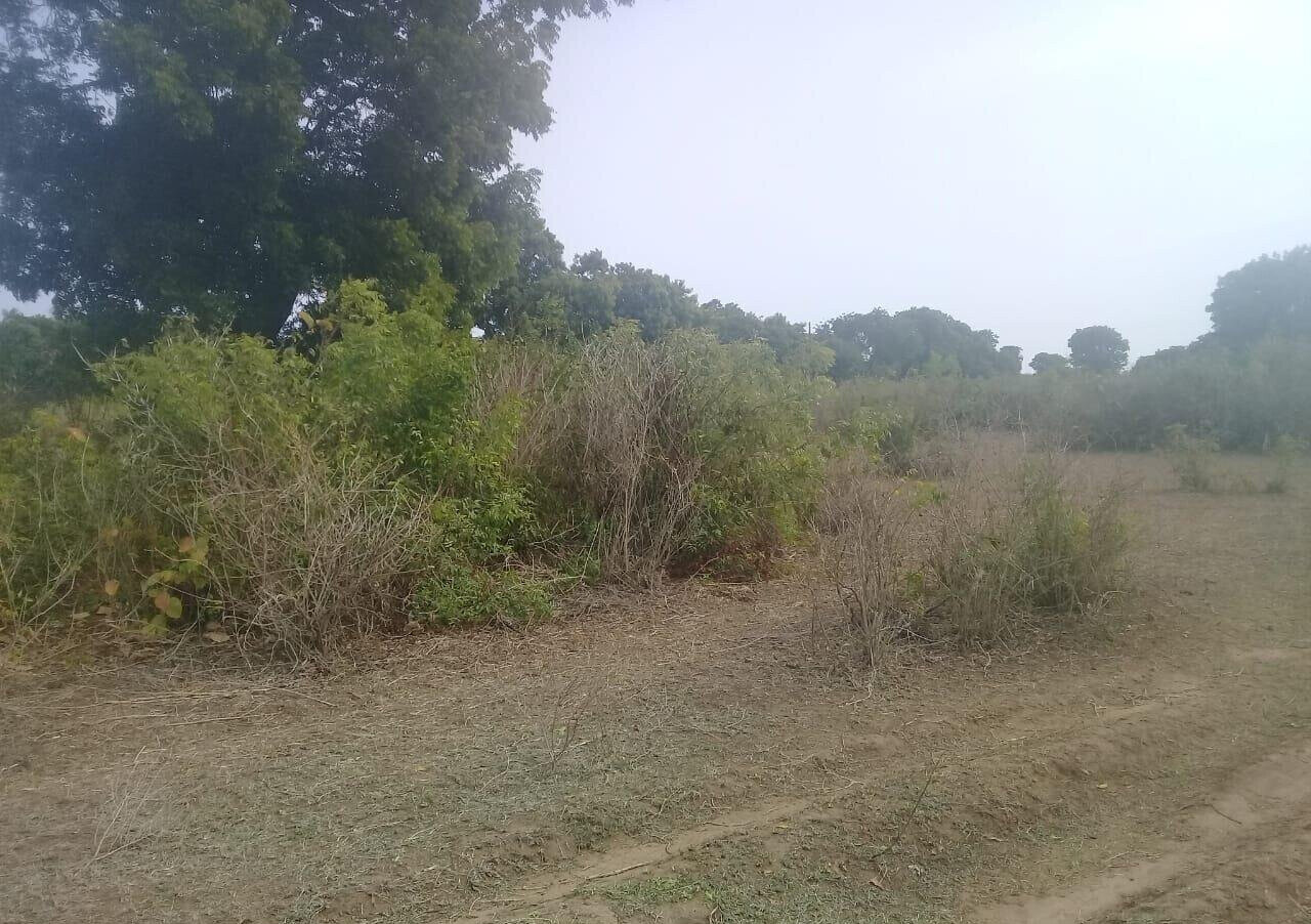 5-Acre Vipingo Gem for KSh 50M