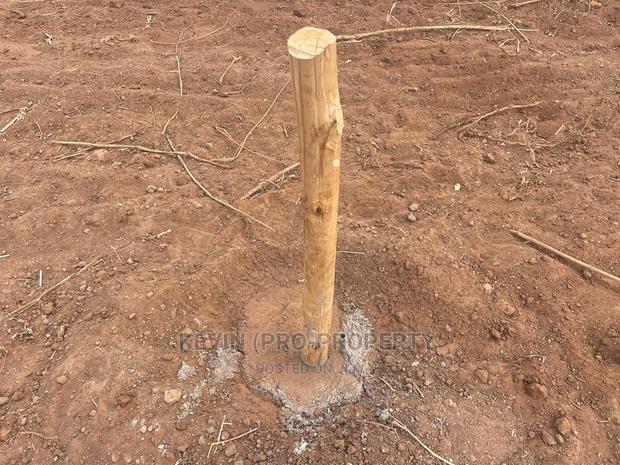 Affordable Residential Plots in Kikuyu, Gikambura Kiambu