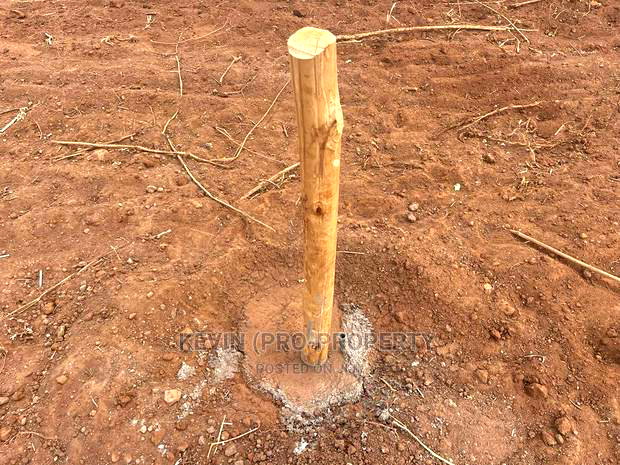 Affordable Residential Plots in Kikuyu, Gikambura Kiambu