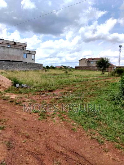 Tola, 50x100 Plots. - Image 8