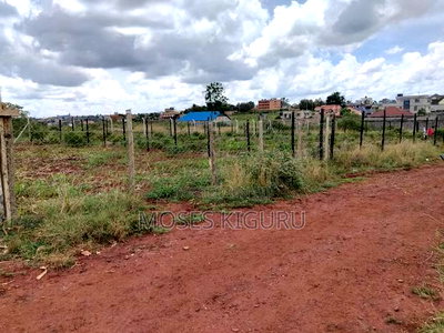 Tola, 50x100 Plots. - Image 9
