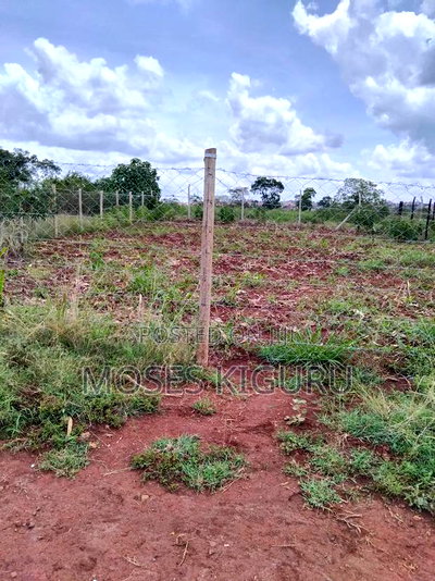 Tola, 50x100 Plots. - Image 3