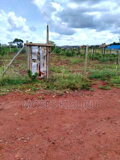 Tola, 50x100 Plots. - Image 4