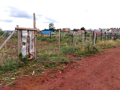 Tola, 50x100 Plots. - Image 7