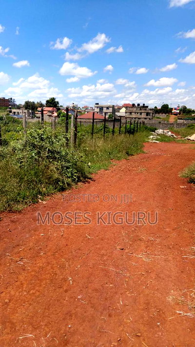 Tola, 50x100 Plots. - Image 6
