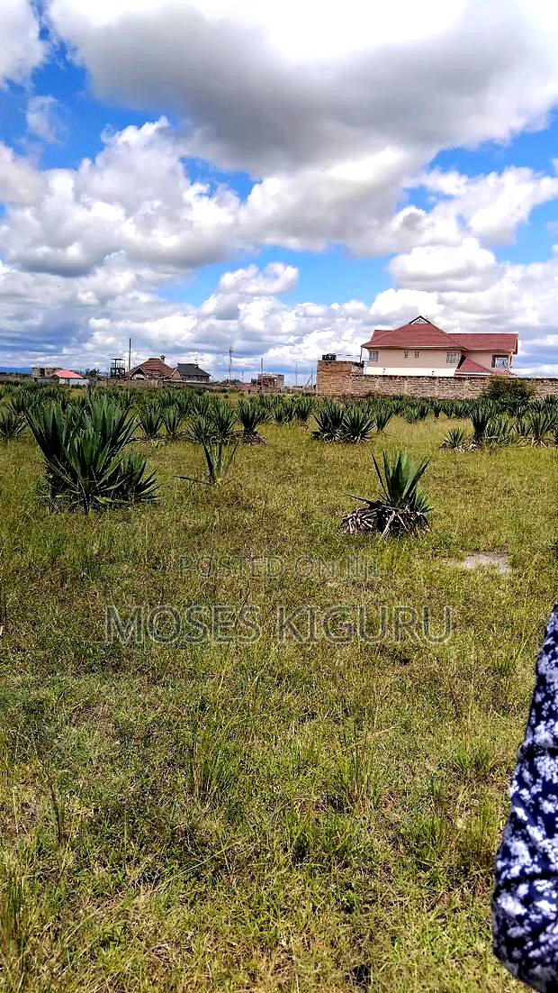 Juja, Mastore 50x100 Plot.