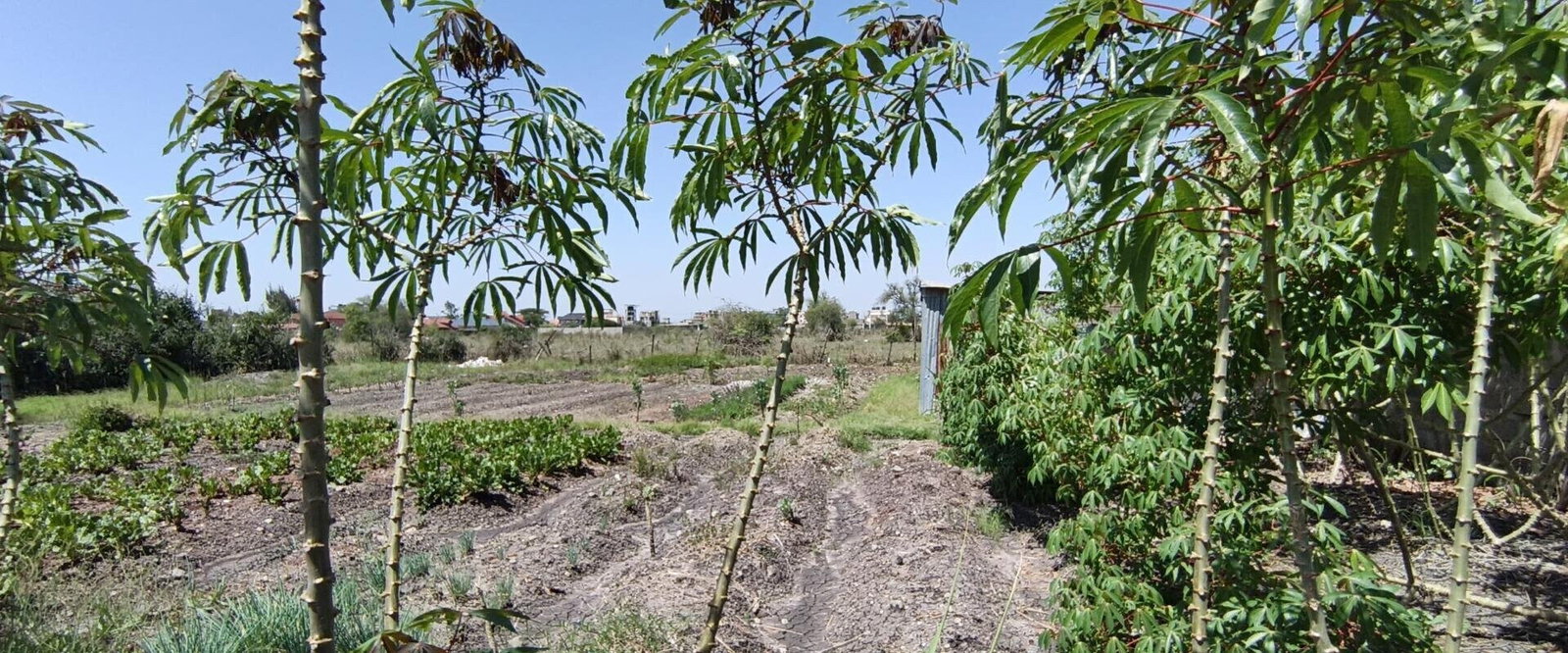 Quarter Acre Garden Plot with Parking