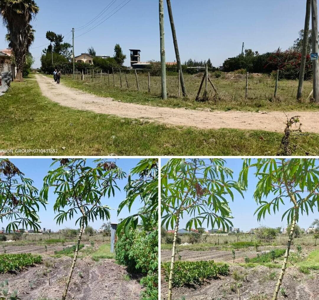 Quarter Acre Garden Plot with Parking